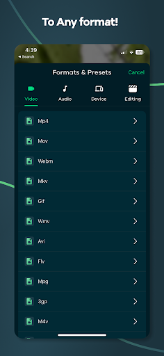 Video Converter - Remux Screen 2