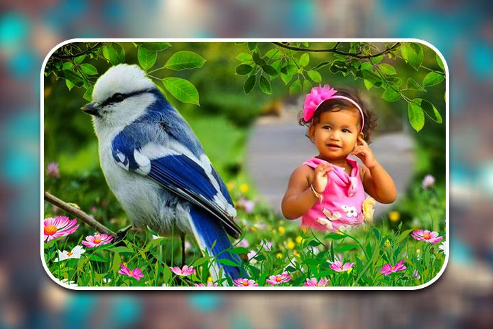 Birds Photo Frames - 1.2.2 - (Android)