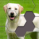 Cover Image of Download Hexa Jigsaw Puzzle ® 52.01 APK