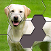 Hexa Jigsaw Puzzle ® 44.01