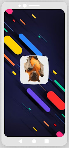 Android application Bats Sounds screenshort