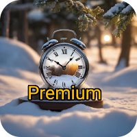 TeamLeader Alarm  Premium