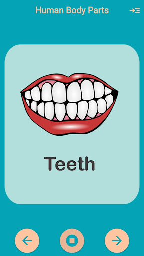 Human Body Parts Kids Learning