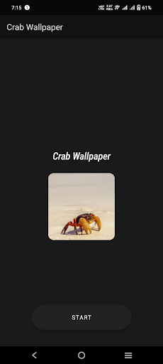 Crab Wallpaper Screen 2