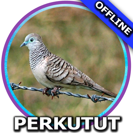 Suara Burung Perkutut Mp3  Icon