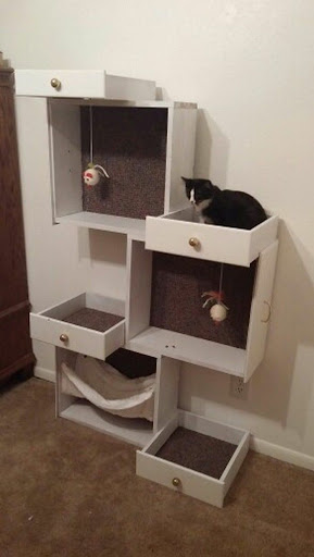 Cat House Screenshot 2 - AppWisp.com