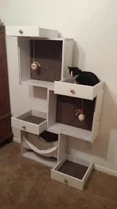 Casa de gatos