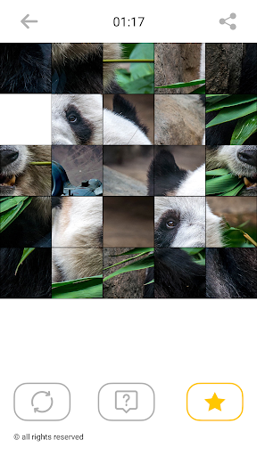 Jigsaw Animal Puzzles Mosaic