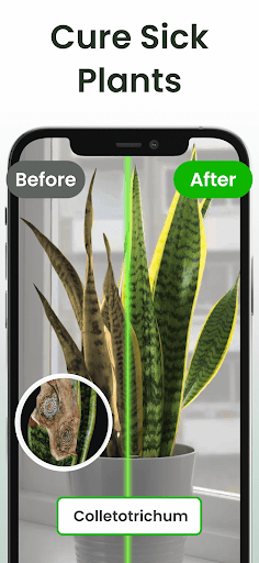 Plantiary - Plant Identifier Screen 3