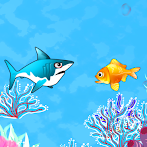 Fish Vs Shark