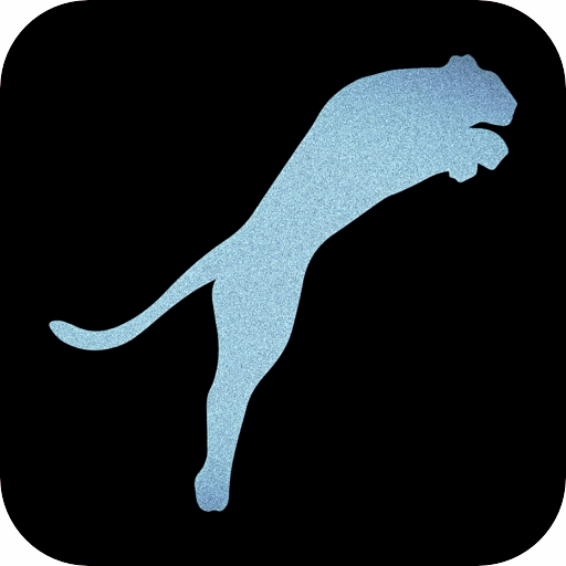Leap Into Fitness Training logo