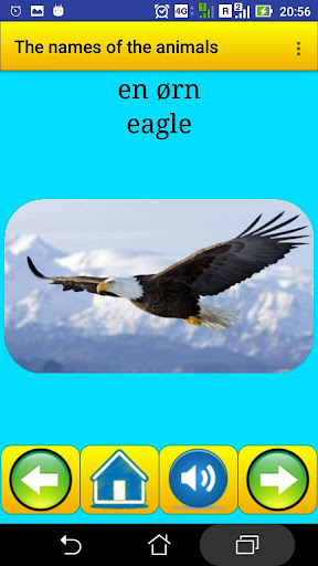 Animals names in Norwegian Screen 2