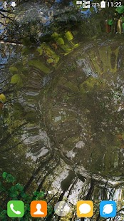 Fisch-Teich Live Hintergrund Ekran görüntüsü