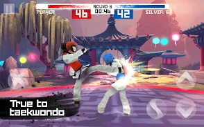 Taekwondo Game Screenshot