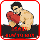 Learn Boxing icon