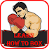Learn Boxing1.0