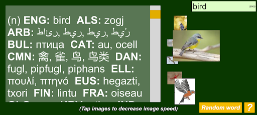 Multi Lingual Wordnet Screen 2