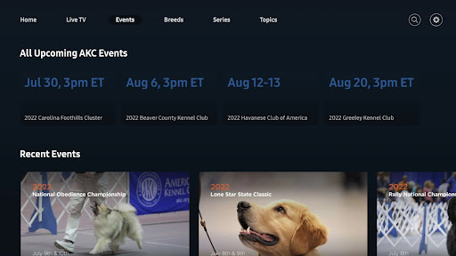 Screenshot 27