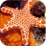 Tile Puzzle - Ocean Life icon