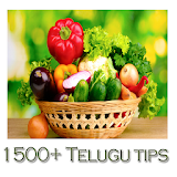 1500+ Telugu Tips icon