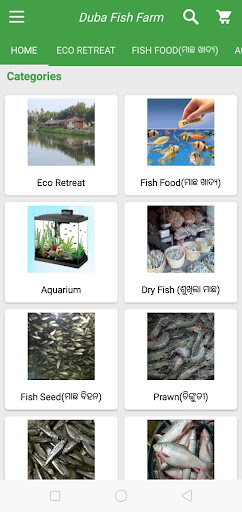 Duba Fish Farm Screen 2