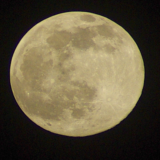 Moon Wallpaper logo