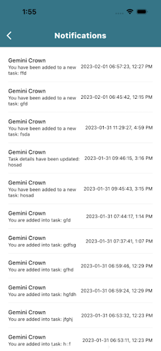 Gemini Crown Tech Screen 3