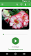 screenshot of Всё о растениях и цветах