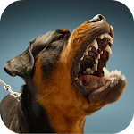 Cover Image of Download Dog Sounds  APK