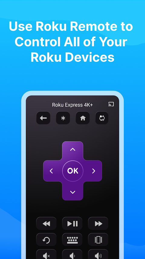 Castly -Roku, Chromecast,DLNAのおすすめ画像3