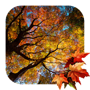 Top 40 Personalization Apps Like Beautiful Autumn Live Wallpaper - Best Alternatives