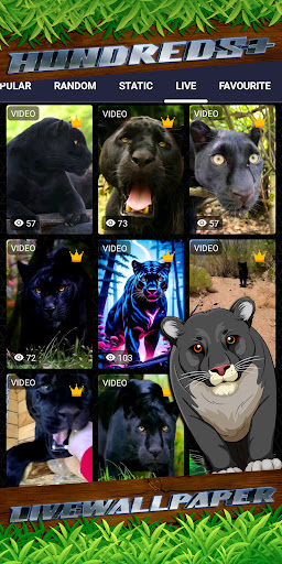 panther wallpaper Screen 3