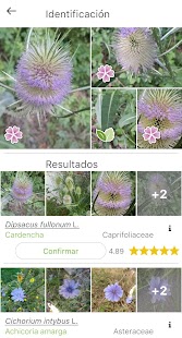 PlantNet Identificación Planta Screenshot