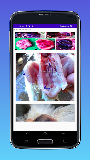 Digital Poultry Book Screen 2