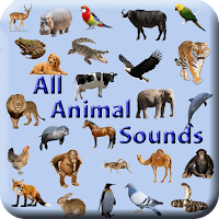 All Animal Sound