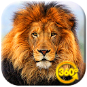 VR 360 Wild Animals icon