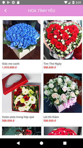 Flower Corner Screen 3