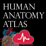 Cover Image of Tải xuống Human Anatomy Atlas  APK