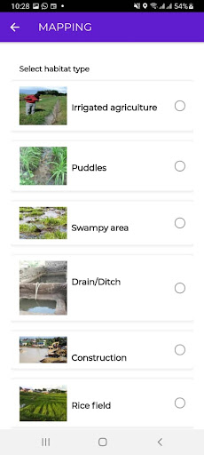 LSM APP Screen 3