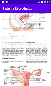 Captura 5 Sistema Reproductor android