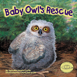 Icon image Baby Owl's Rescue
