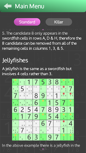 Infinity SuDoku Screen 3