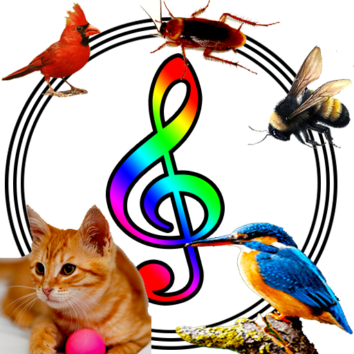 Animal & Insect Sounds دانلود در ویندوز