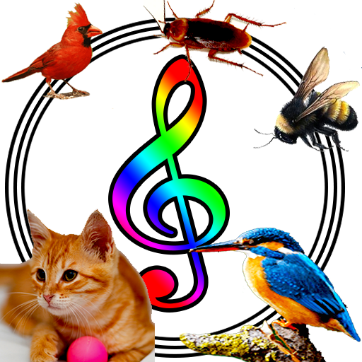 Animal & Insect Ringtone  Icon