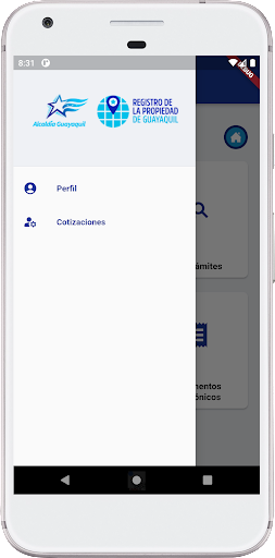 Registro Propiedad Guayaquil Screen 2