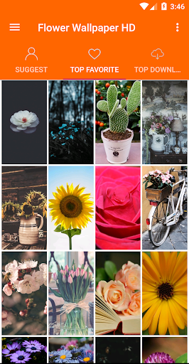 Flowers Wallpaper 4K Screen 2