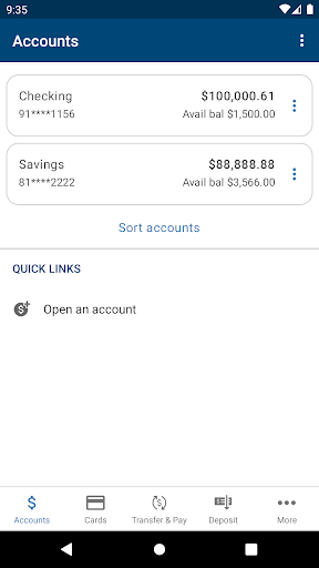LakeRegionBank Mobile Banking Screen 3