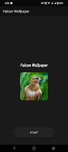 Falcon Wallpaper