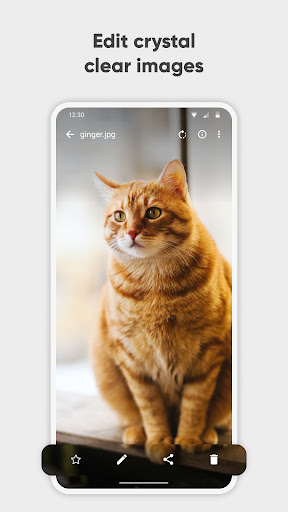 Simple Gallery Pro - Photography - apps