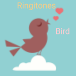 Cover Image of Herunterladen Birds Ringtones  APK